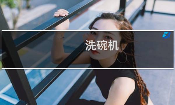 洗碗机 洗锅 - 西门子洗碗机能洗过吗